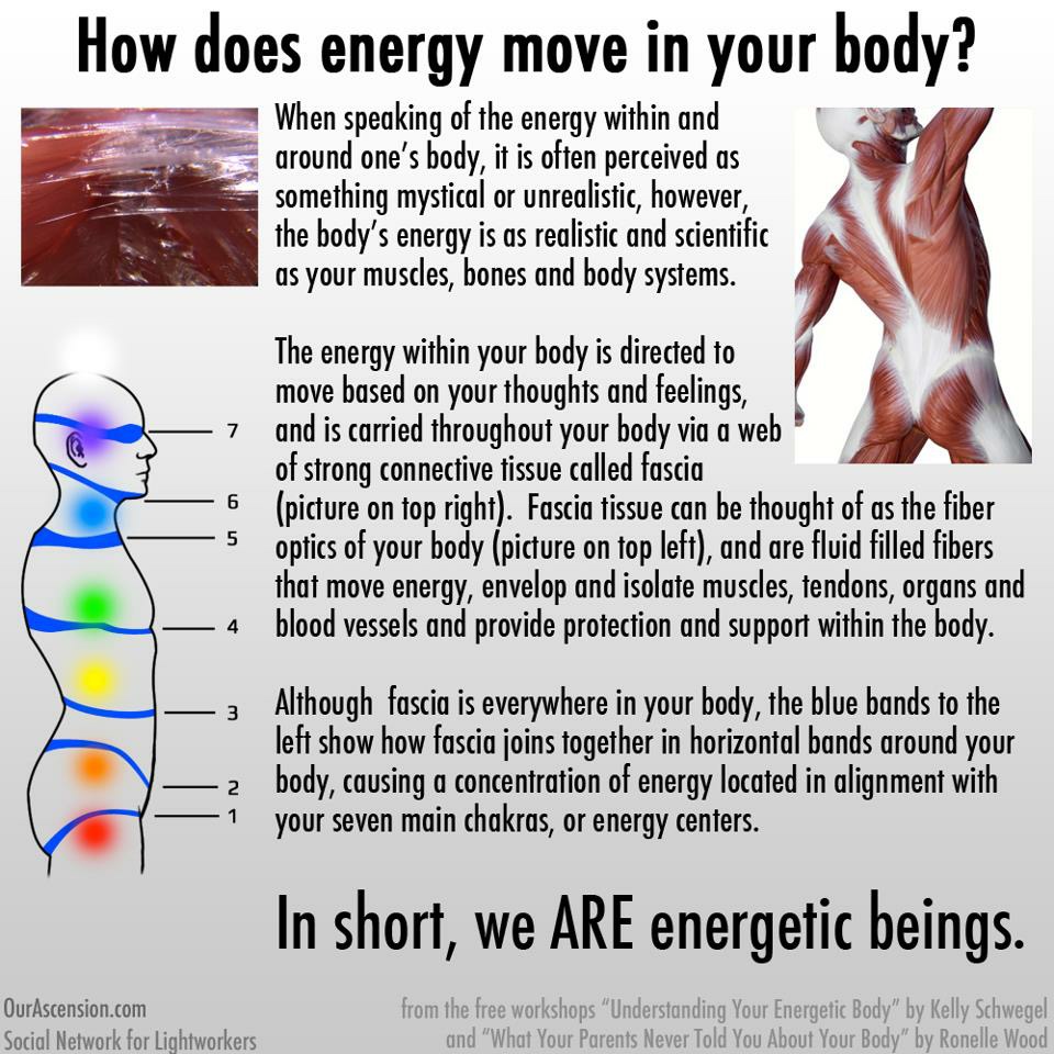 chakras and fascia diaphragms